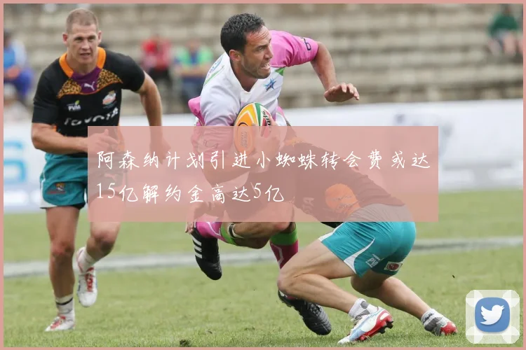 阿森纳计划引进小蜘蛛转会费或达15亿解约金高达5亿