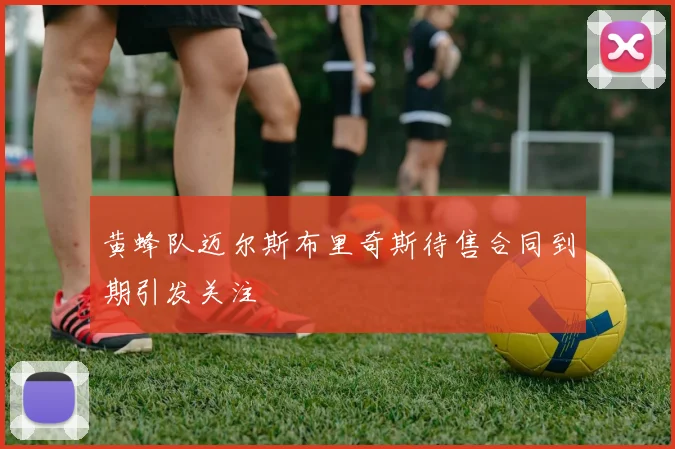 黄蜂队迈尔斯布里奇斯待售合同到期引发关注